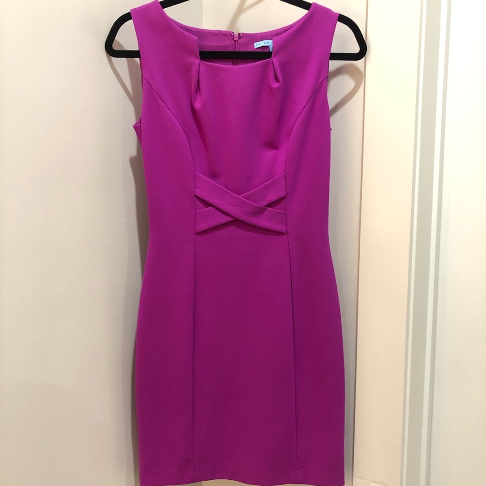 Antonio Melani Business Casual Dress